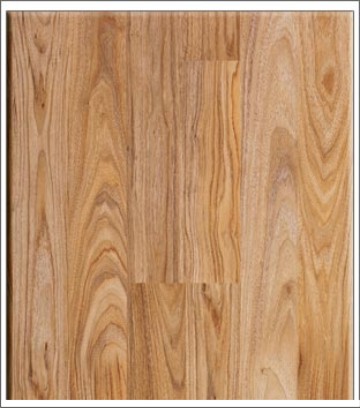 Sàn gỗ ROBINA CW21-L